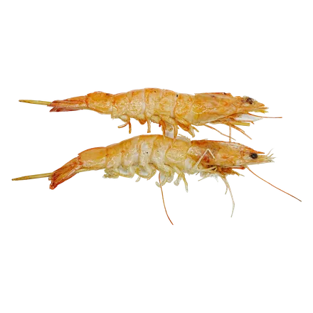 Brochettes Gambas